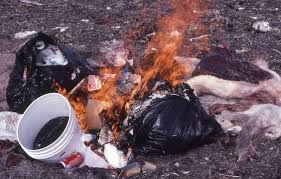 Cancer Prevention Tips � Avoid Burning Plastics at Home